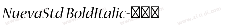NuevaStd BoldItalic字体转换